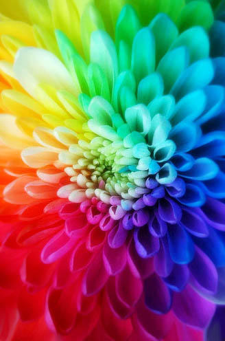 spring-colors-1